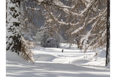 hm-hiver2026-bessans-wp-07-1